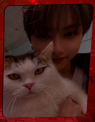 Judicious Jun