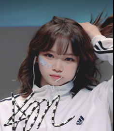 Vibey Fansign Chaewon