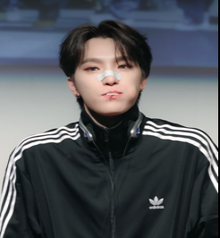 Vibey Fansign Dino